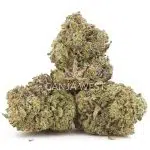 Lucky Charms AAA - Hybrid - Image 2