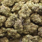 Lucky Charms AAA - Hybrid - Image 3