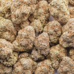 Pink Nerdz AAA - Hybrid - Image 3