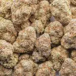 Wholesale - Pink Nerdz - AAA