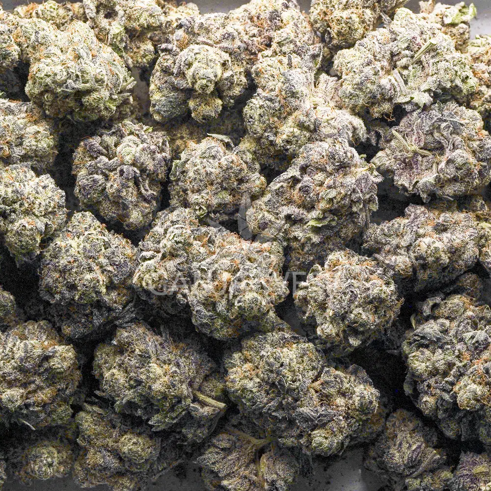 buy-weed-online-dispensary-ganja-west-purple-fanta-craft-wholesale Wholesale - Purple Fanta - Craft - Image 1