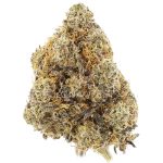 Shirley Temple AAA - Indica