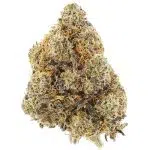 Shirley Temple AAA - Indica