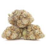 Shirley Temple AAA - Indica - Image 2