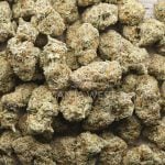 Wholesale - Birkin Bag - AAA