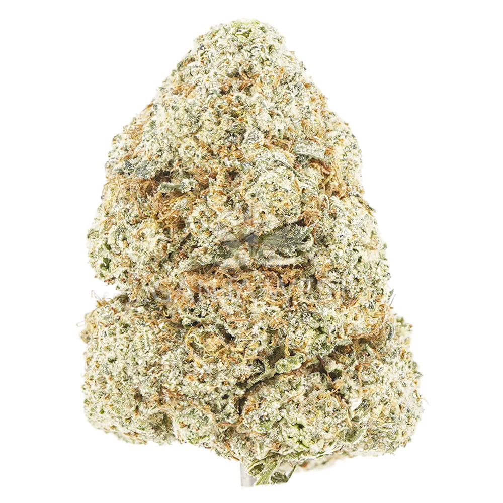 buy-weed-online-dispensary-ganja-west-blue-dream-aaa-nug Blue Dream AAA - Sativa - Image 1
