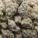 Blueberry SinMint Craft - Indica - Image 3
