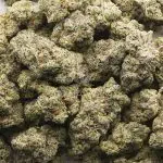 Wholesale - Donkey Butter - AAAA