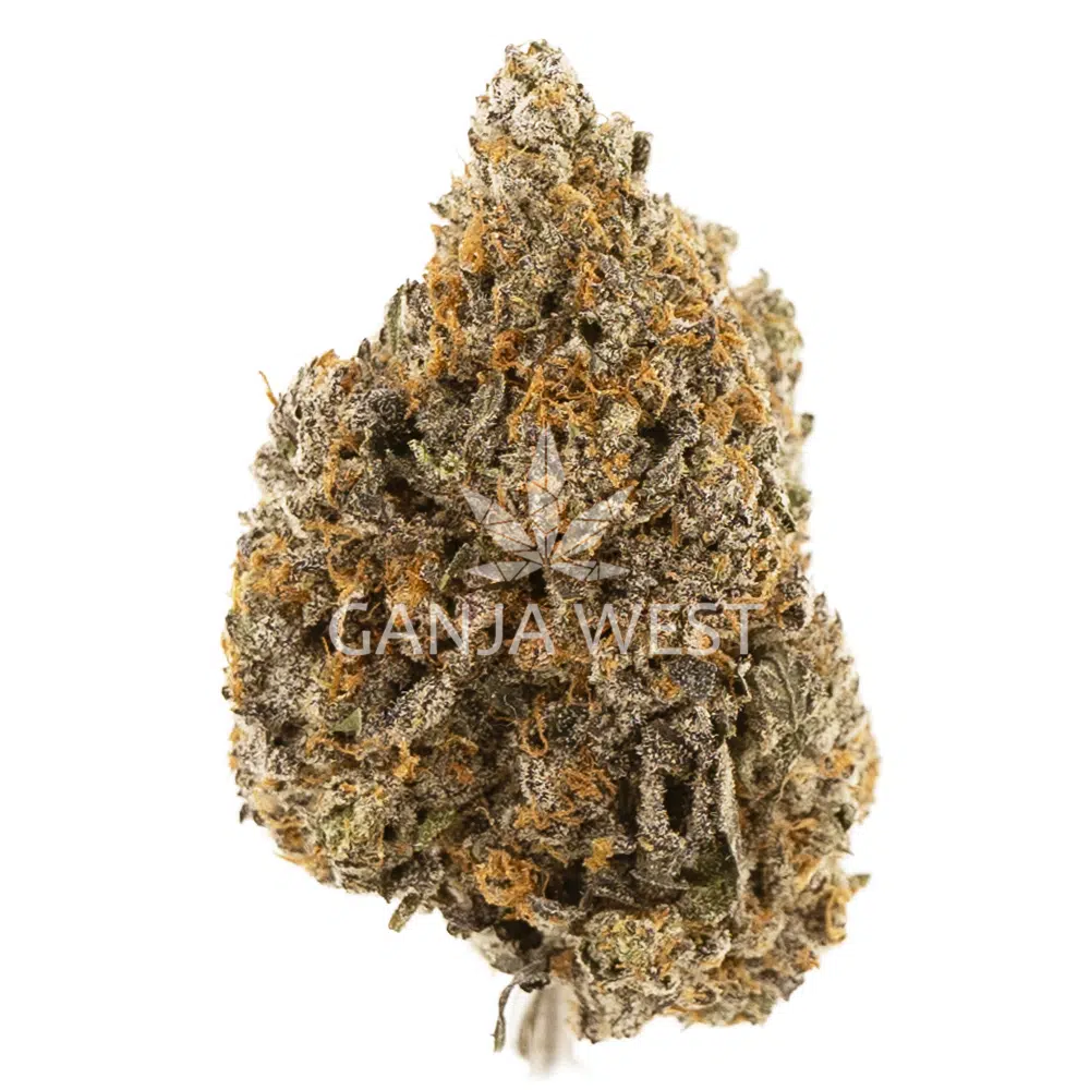 buy-weed-online-dispensary-ganja-west-firestorm-aa-nug Firestorm AA - Hybrid - Image 1