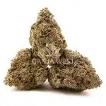 Firestorm AA - Hybrid - Image 2