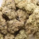 Firestorm AA - Hybrid - Image 3