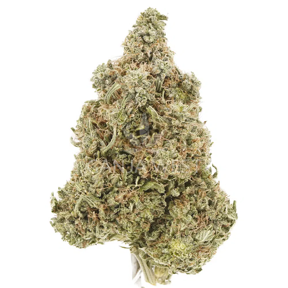 buy-weed-online-dispensary-ganja-west-flower-aa-citrique-nug Citrique AA - Sativa - Image 1