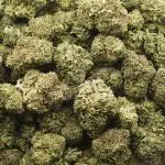 Citrique AA - Sativa - Image 3