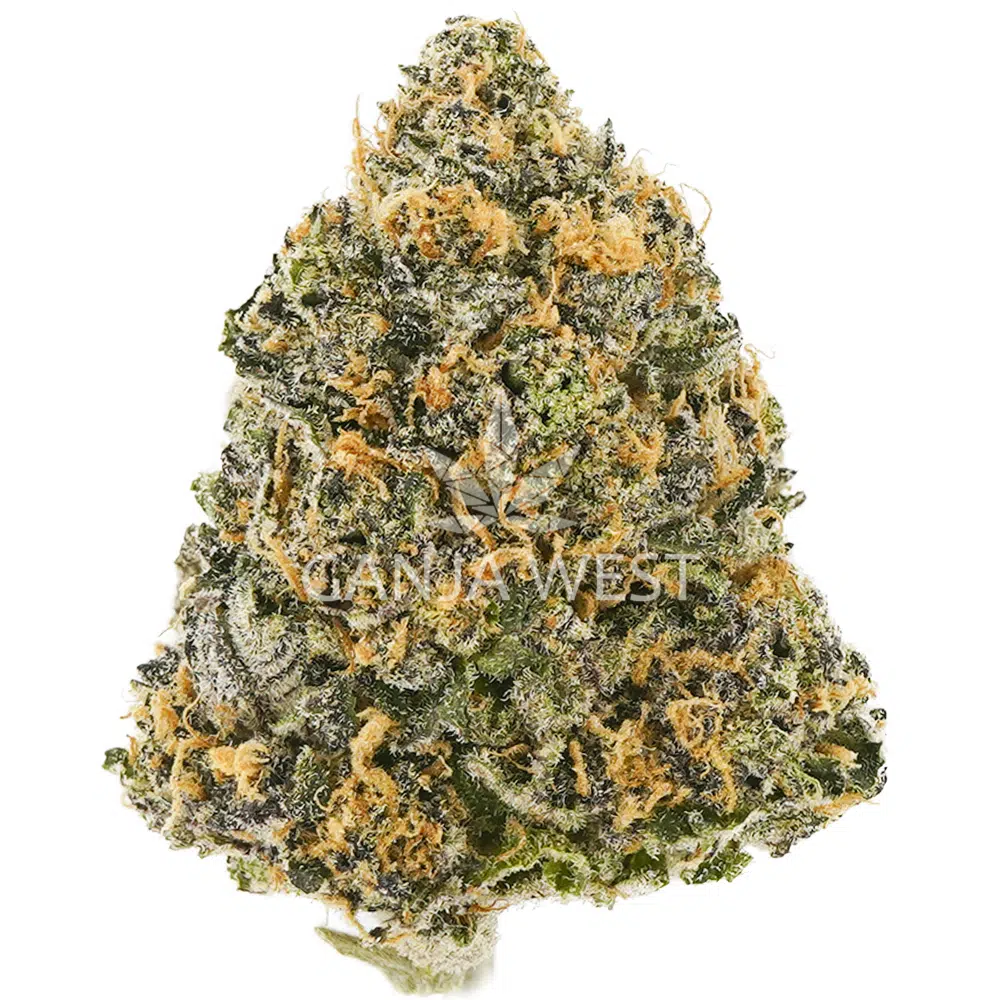 buy-weed-online-dispensary-ganja-west-flower-black-cherry-pie-aa-nug Black Cherry Pie AA - Hybrid - Image 1