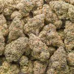 Black Cherry Pie AA - Hybrid - Image 3