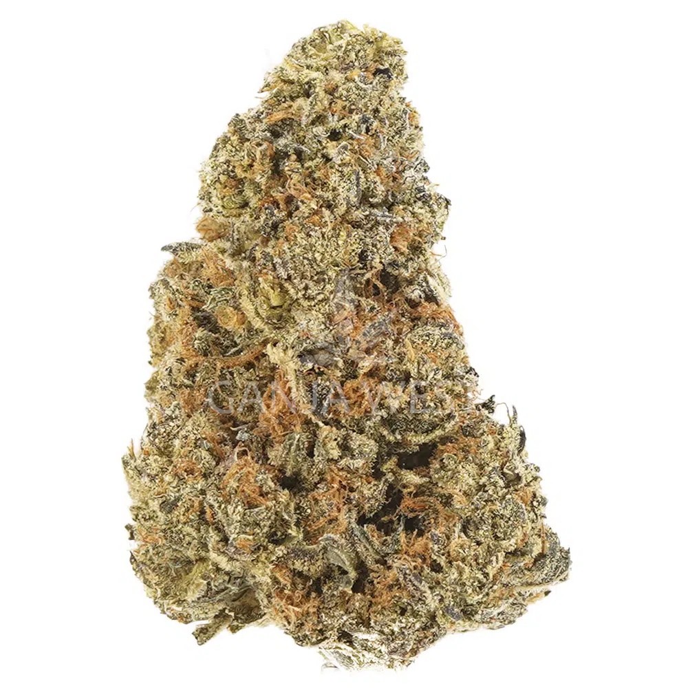 buy-weed-online-dispensary-ganja-west-flower-mango-lemonade-aa-nug Mango Lemonade AA - Indica - Image 1