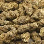 Mango Lemonade AA - Indica - Image 3