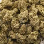 Pirate Cake AA - Indica - Image 3