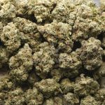 Wholesale - Skywalker OG - AAAA