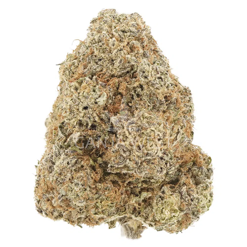 buy-weed-online-dispensary-ganja-west-flower-unicorn-haze-aa-nug Unicorn Haze AA - Hybrid - Image 1