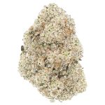 Han Solo Burger Craft - Indica