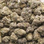 Wholesale - Hindu Cookies - AAAA