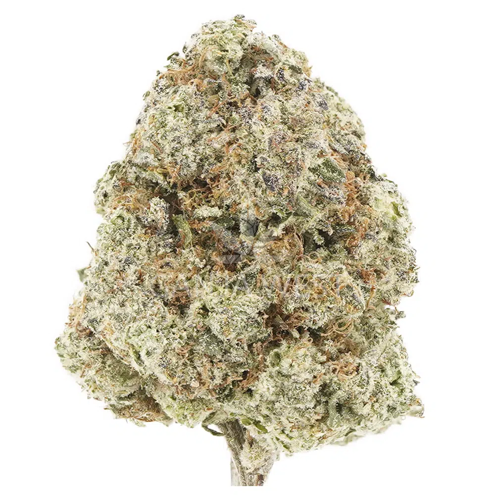 buy-weed-online-dispensary-ganja-west-monkey-breath-aaaa-nug Monkey Breath AAAA - Indica - Image 1