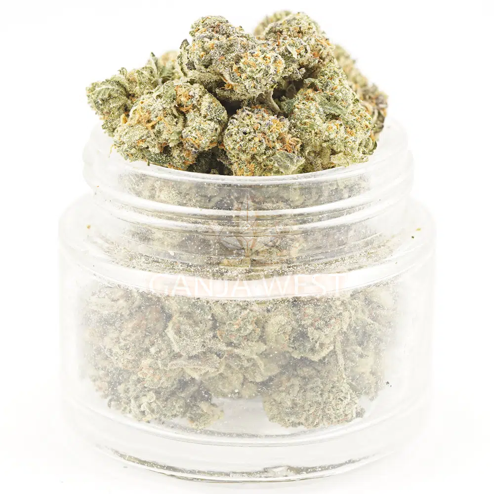 buy-weed-online-dispensary-ganja-west-pie-face-aa-popcorn-jar Pie Face OG AA Popcorn - Indica - Image 1