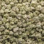 Wholesale Popcorn - Blackberry Octane - AAAA