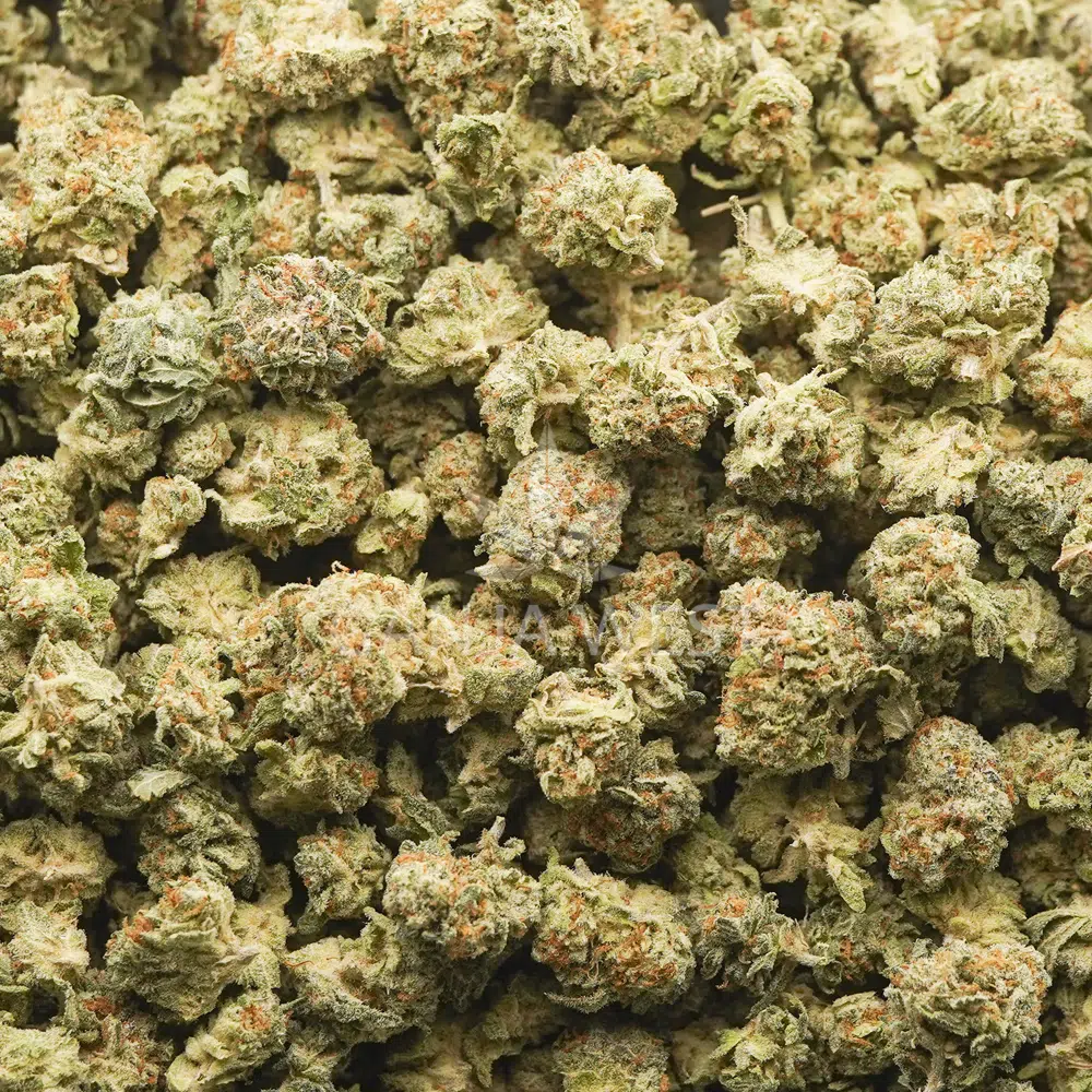 buy-weed-online-dispensary-ganja-west-popcorn-mac-donut-aaaa-wholesale Wholesale Popcorn - MAC Donut - AAAA - Image 1