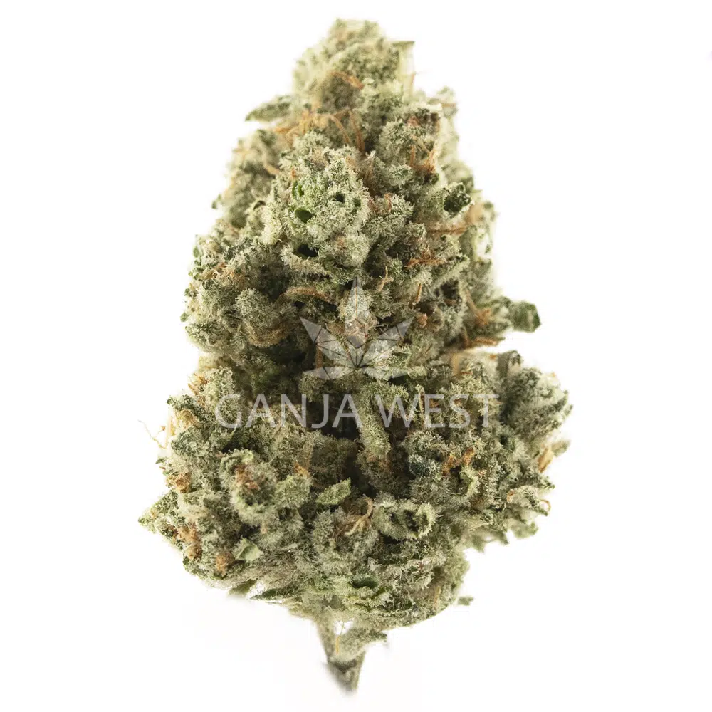buy-weed-online-dispensary-ganja-west-space-candy-aa-nug Space Candy AA - Hybrid - Image 1