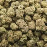 Strawberry Diesel AA - Hybrid - Image 3