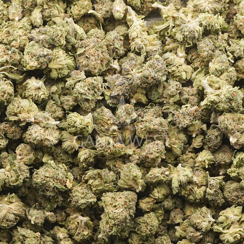 buy-weed-online-dispensary-ganja-west-superglue-og-aa-popcorn-wholesale Wholesale Popcorn - Super Glue OG - AA - Image 1