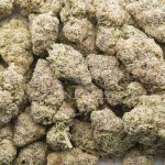 Alien Mints AAA - Hybrid - Image 3