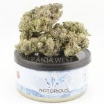 Notorious THC Craft - Cake N Bake (7 Grams)