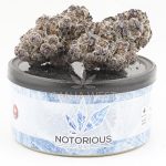 Notorious THC Craft - Purple Wookie (7 Grams)