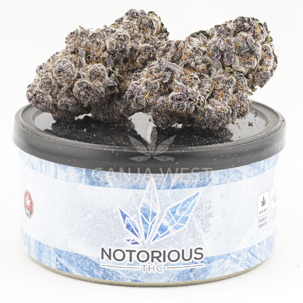 Source photograph: Notorious THC Craft – Purple Wookie