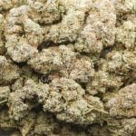 Wholesale - Dragon OG - AAA