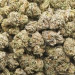 Wholesale - Firestorm - AAA