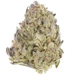 God's AK-47 A - Indica