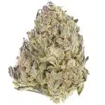 Wholesale - God's AK-47 - A - Image 3