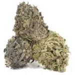 Wholesale - God's AK-47 - A - Image 2
