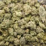 Wholesale - God's AK-47 - A