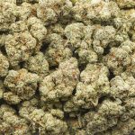 Wedding Pie AAA - Indica - Image 3