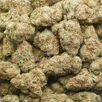 White Louis AA - Hybrid - Image 3