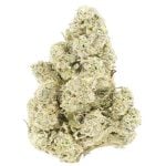 Cosmic Cookies AA - Indica