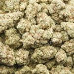 Wholesale - Pineapple Aloha - AA