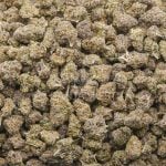 Wholesale Popcorn - Blueberry Cookies - Craft