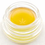 Sauce - Cherry Margarita - Indica