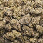 Blue Monkey AAAA - Indica - Image 3